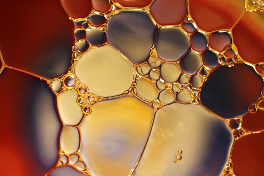 olio esausto come smaltirlo